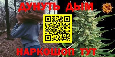 PSILOCYBIN Ирбит