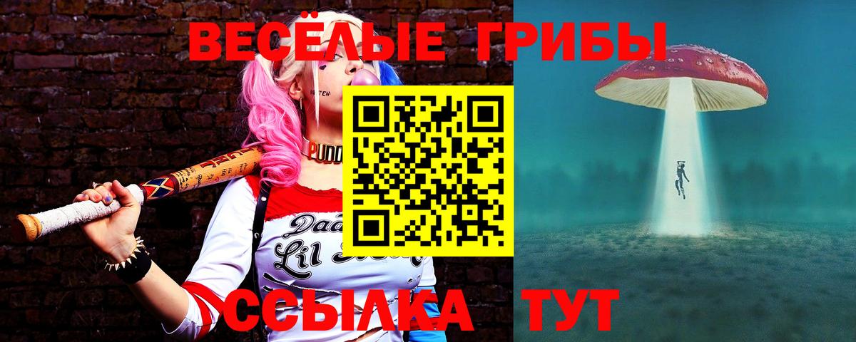 Галлюциногенные грибы Psilocybe Люберцы